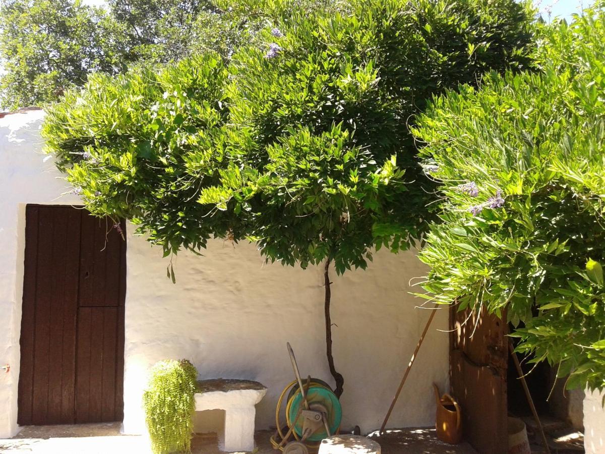 B&B Bell'Aria Monopoli Extérieur photo