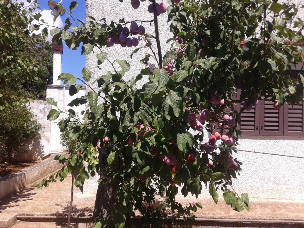B&B Bell'Aria Monopoli Extérieur photo