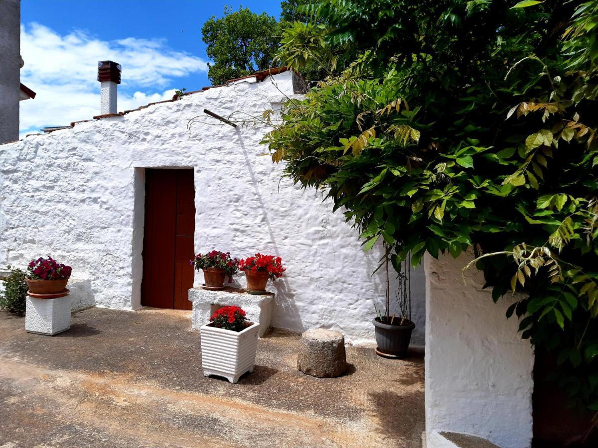 B&B Bell'Aria Monopoli Extérieur photo