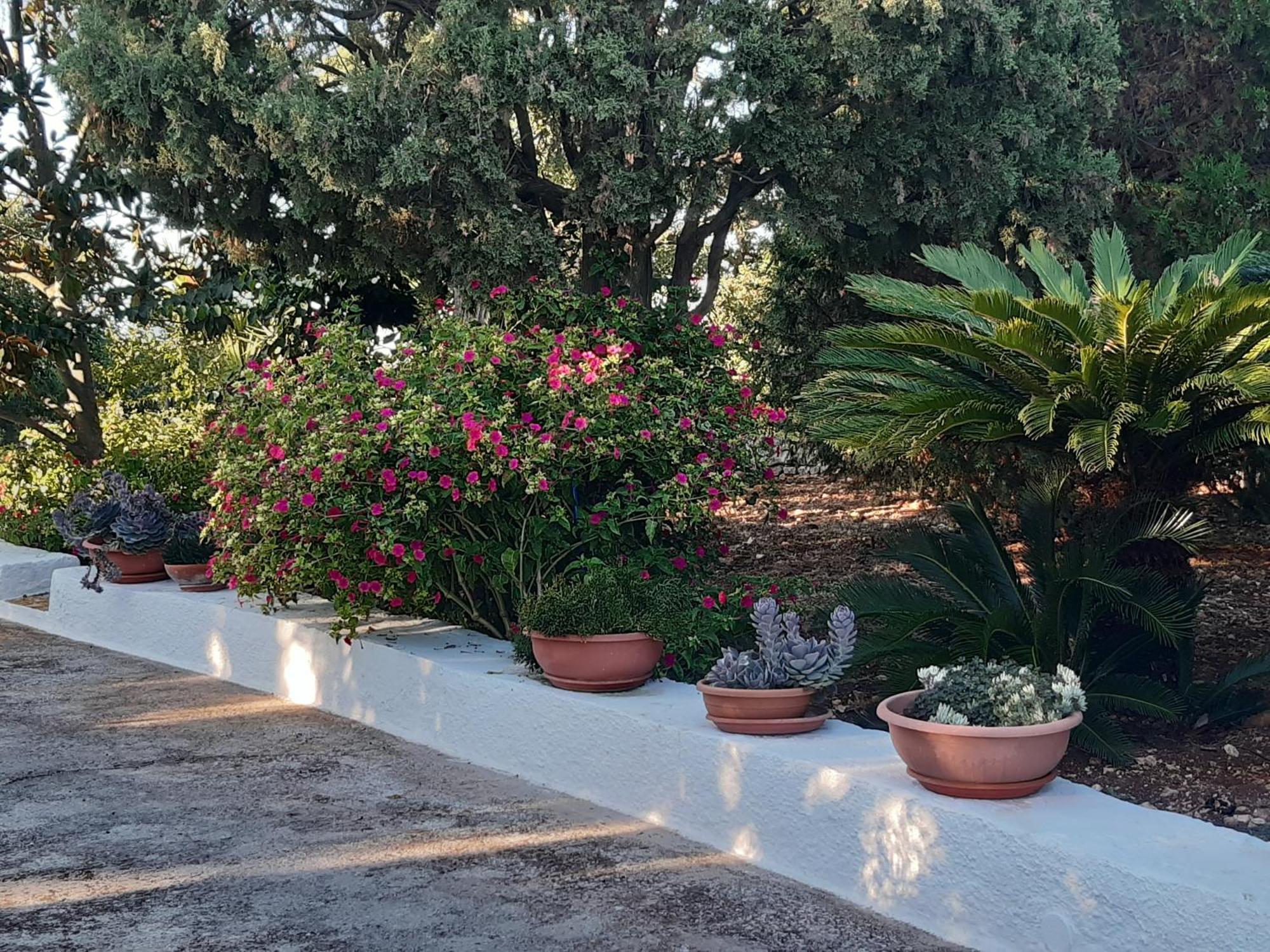 B&B Bell'Aria Monopoli Extérieur photo